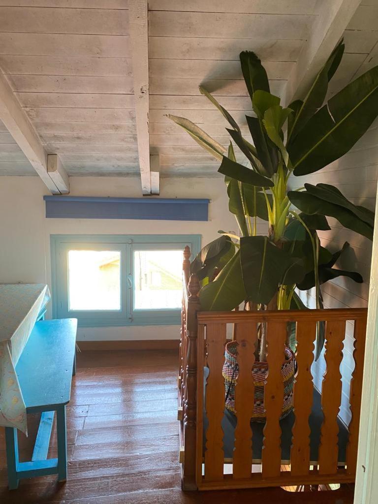 Apartamento Madera y Mar  Isla Plana Exterior foto