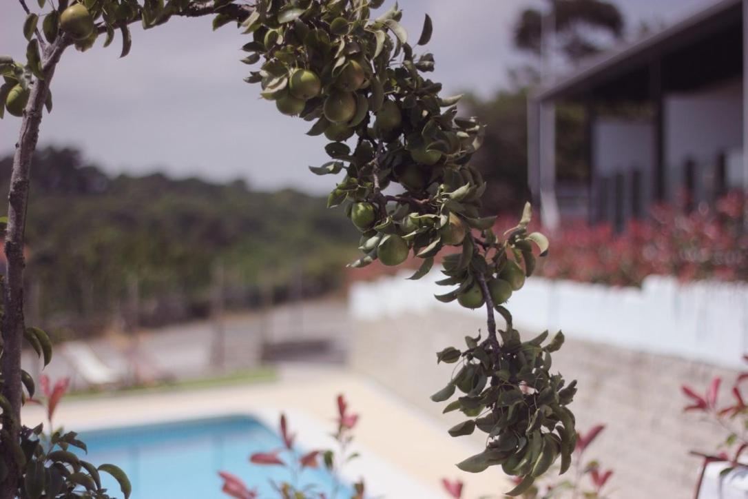 Apartamento Madera y Mar  Isla Plana Exterior foto