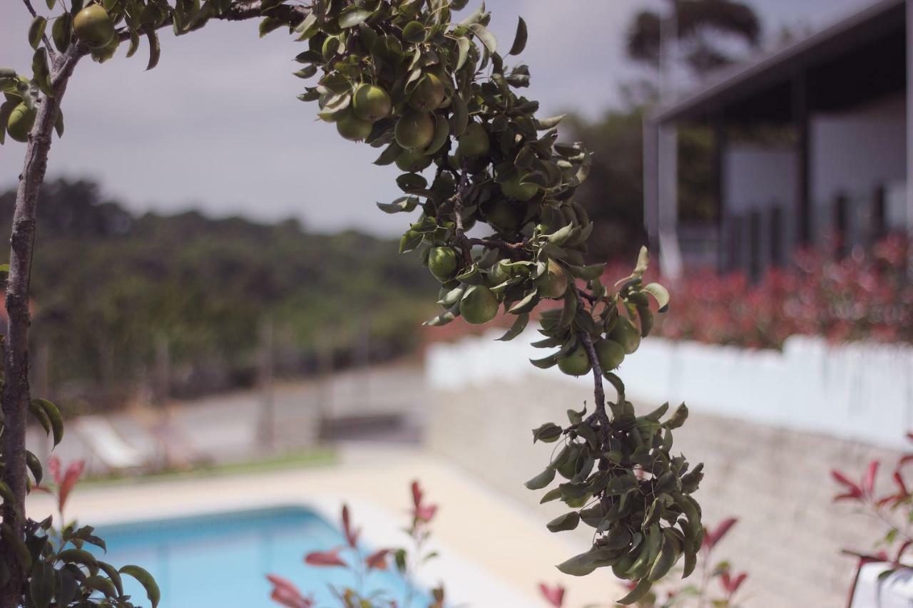 Apartamento Madera y Mar  Isla Plana Exterior foto